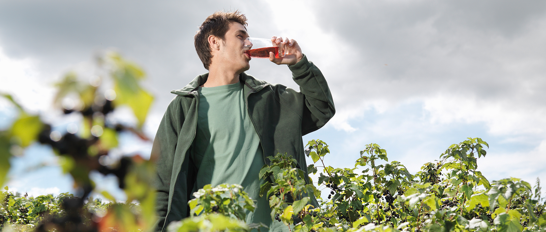 Succo di ribes nero della farmacia Amavita – tradizionalmente utilizzato a sostegno delle difese naturali durante la stagione fredda