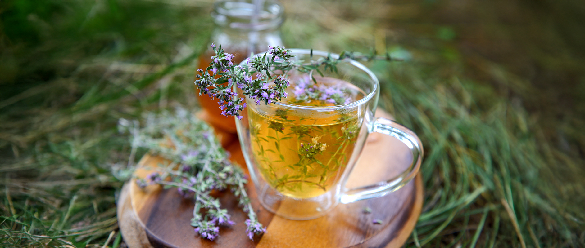 Sciroppo di timo come rimedio tradizionale per la tosse – dalla farmacia Amavita