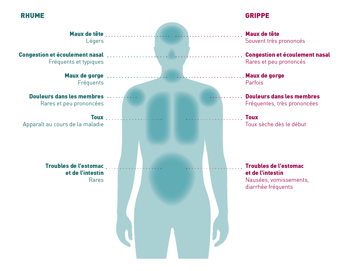 Grippe ou refroidissement : différences & parallèles | Amavita