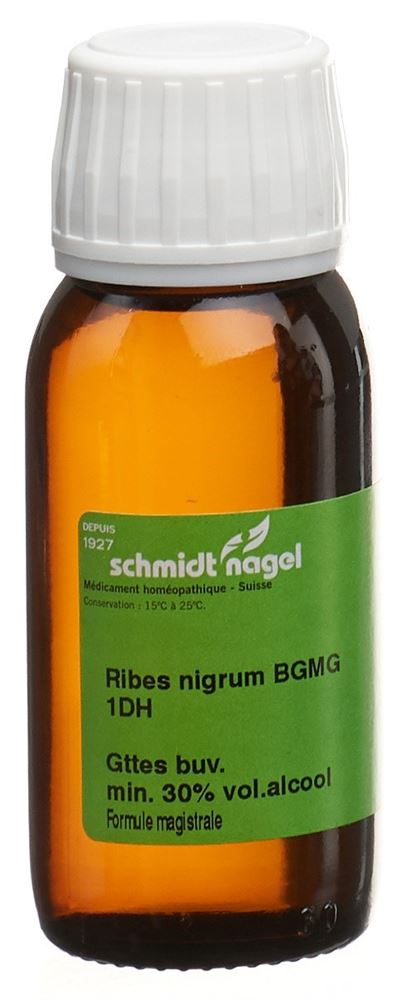 ribes nigrum BG