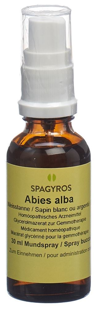 abies alba