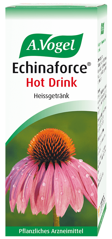 Echinaforce Hot Drink boisson chaude