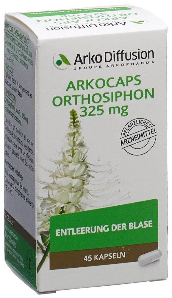 orthosiphon