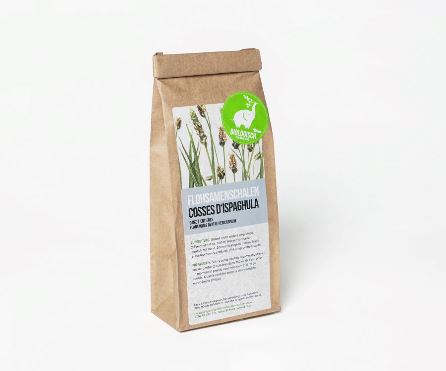 , immagine principale