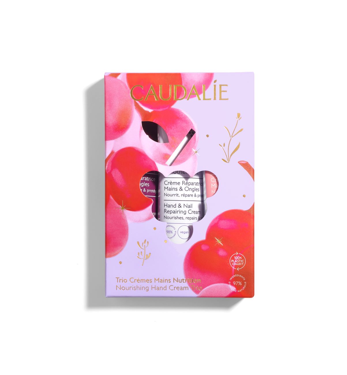 , immagine principale