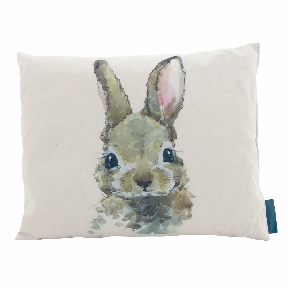 , immagine principale