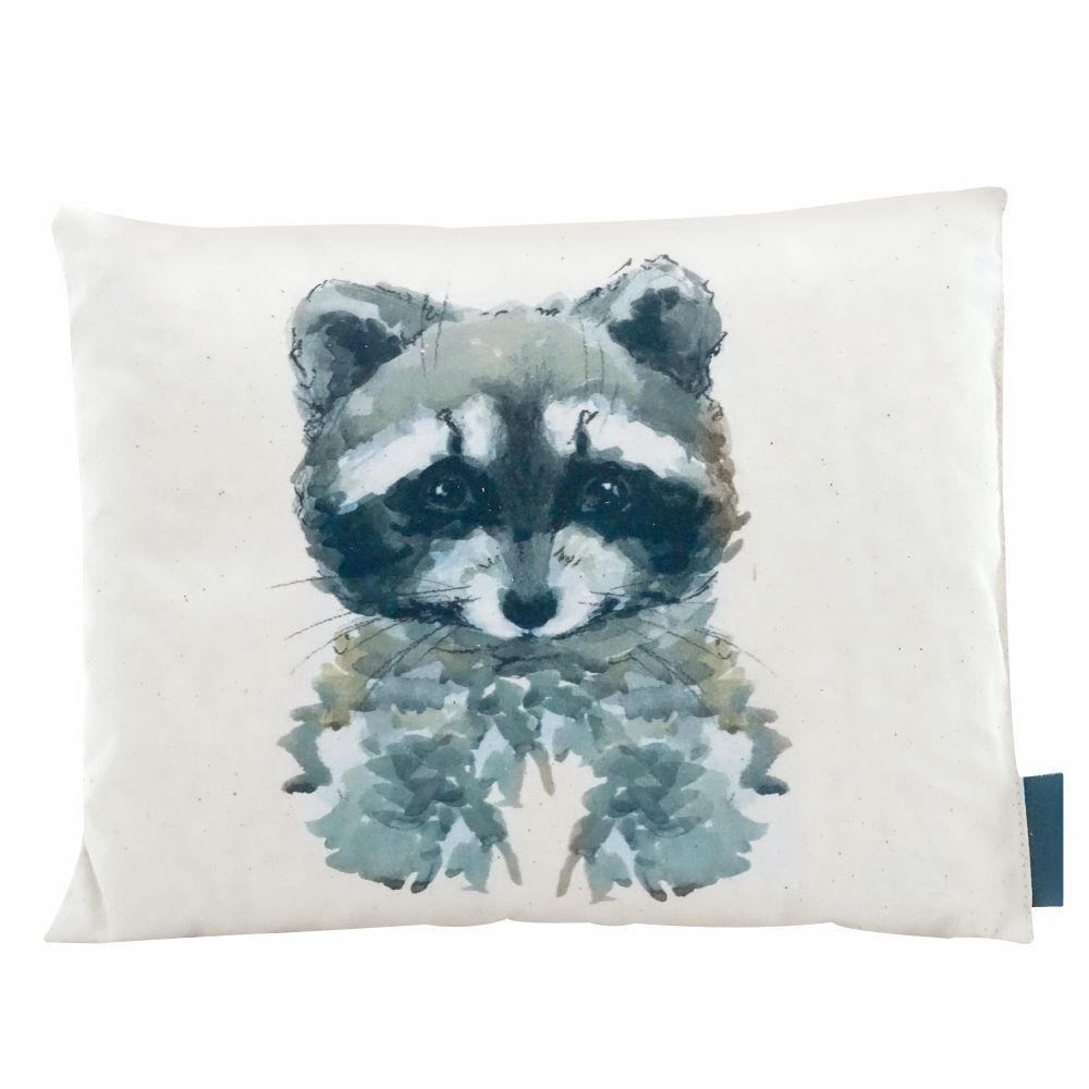 , immagine principale