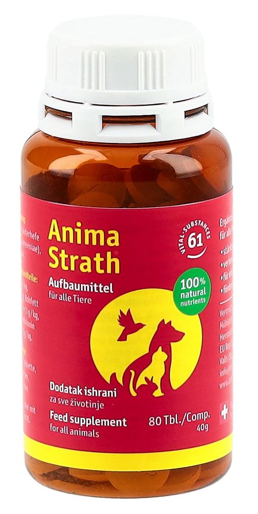 Anima Strath Aufbautabletten Ds 80 Stk