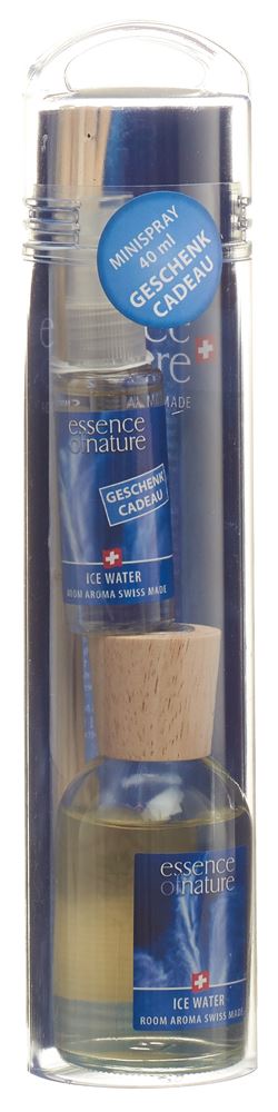 Essence of Nature Classic Room Aroma Sticks Ice Water 100 ml