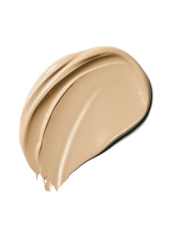 Estée Lauder Double Wear Max Cover Make Up No 2n1