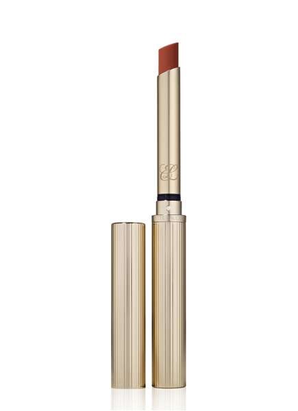Estée Lauder Pure Color Explicit Ultra Matte No 106 3.5 g