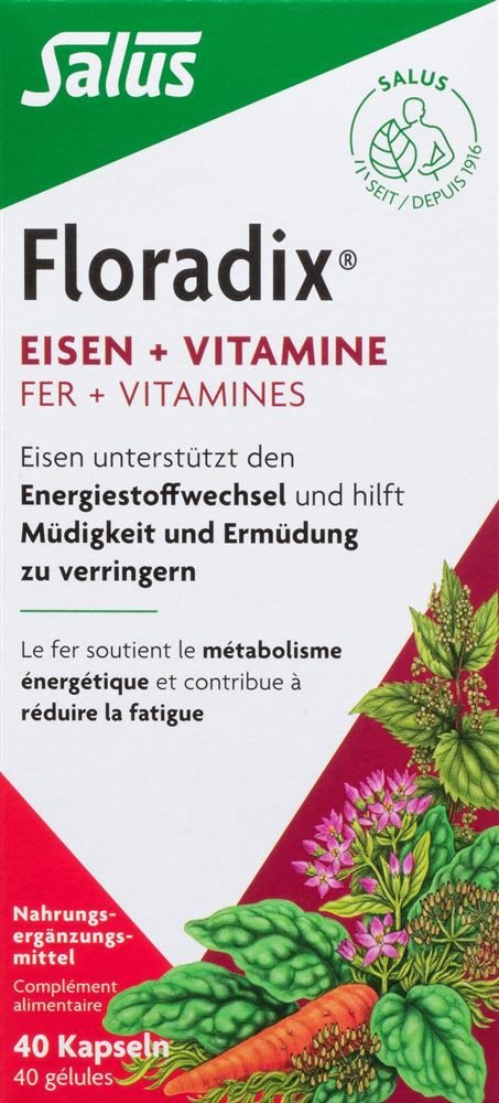 Floradix Eisen + Vitamine Kaps 40 Stk