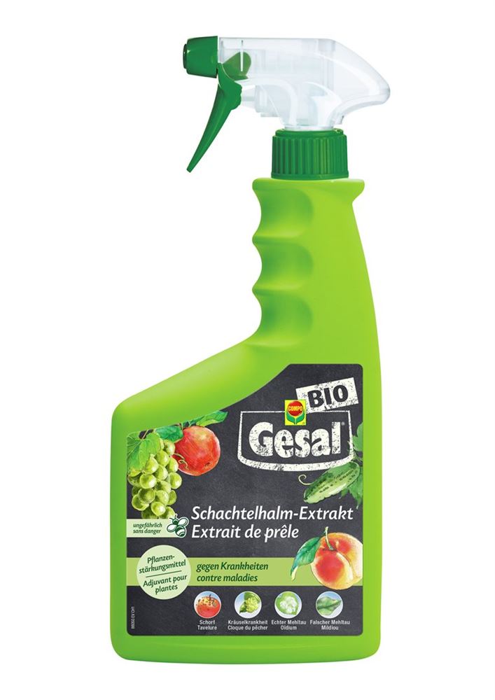 Gesal Schachtelhalm-Extrakt Fl 750 ml
