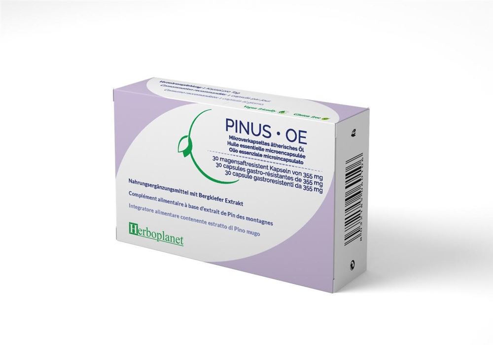 Herboplanet Pinus OE Kaps 355 mg 30 Stk