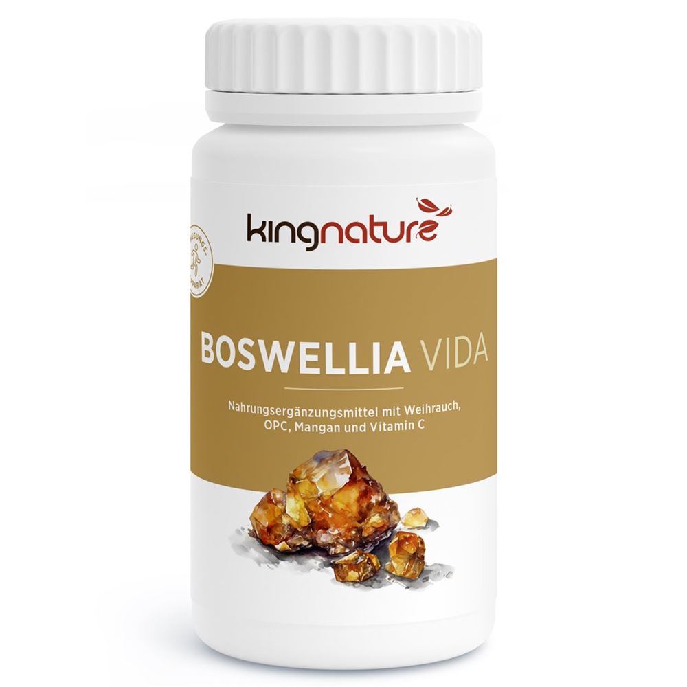 Kingnature Boswellia Vida Kaps 100 mg Ds 90 Stk