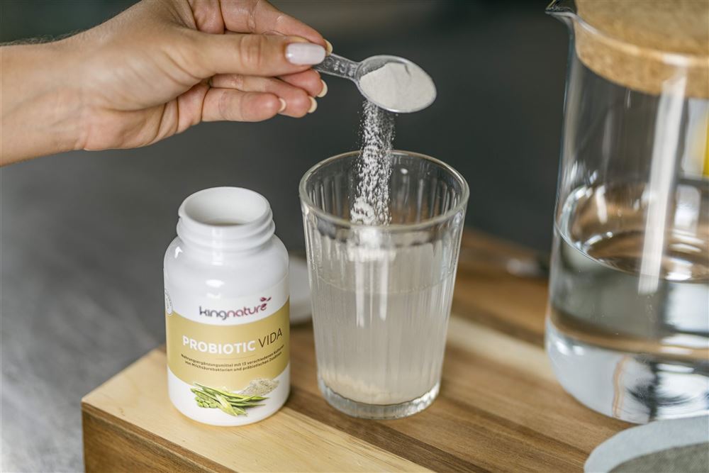 Kingnature Probiotic Vida Plv Ds 90 g