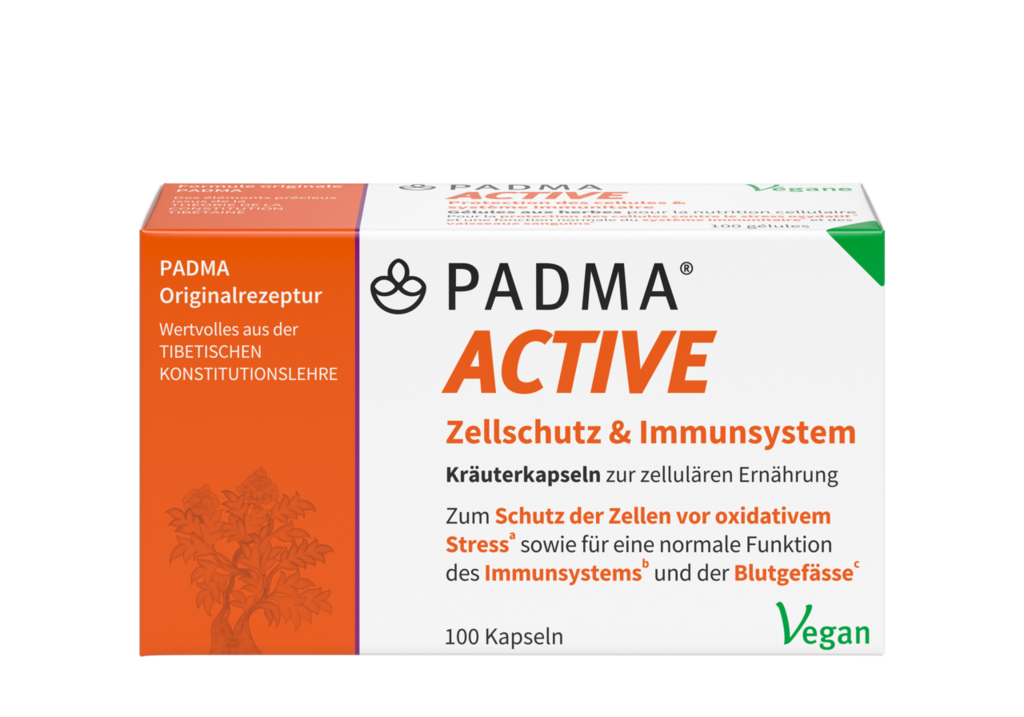 Padma Active Kaps 100 Stk