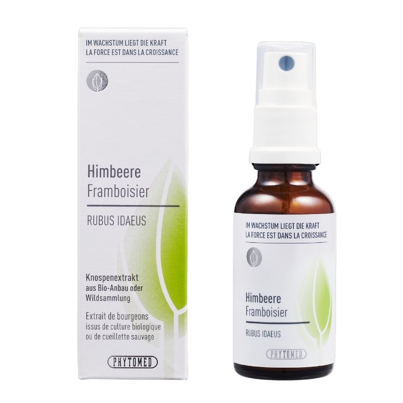 Phytomed Knospenextrakt Himbeere Spr 30 ml