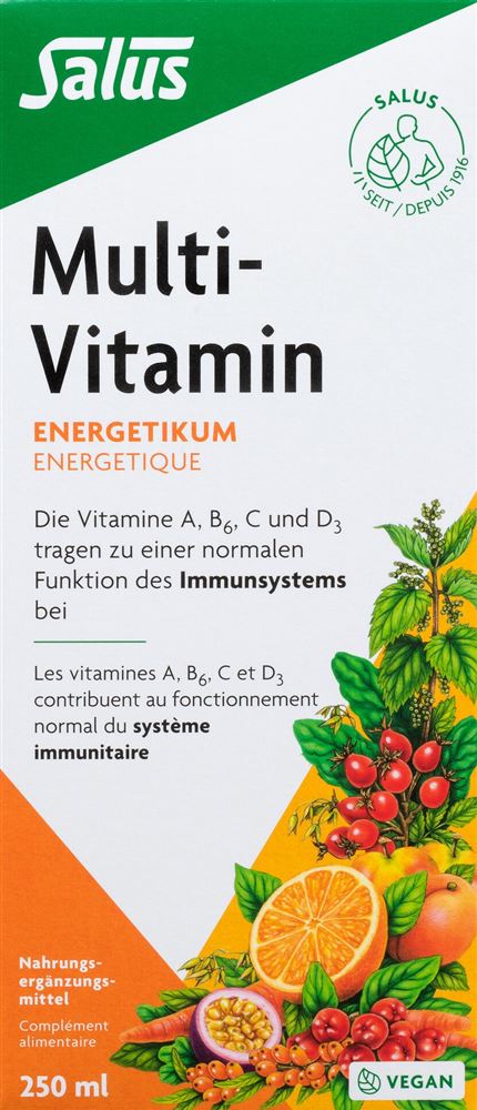 Salus Multi-Vitamin Energetikum Fl 250 ml