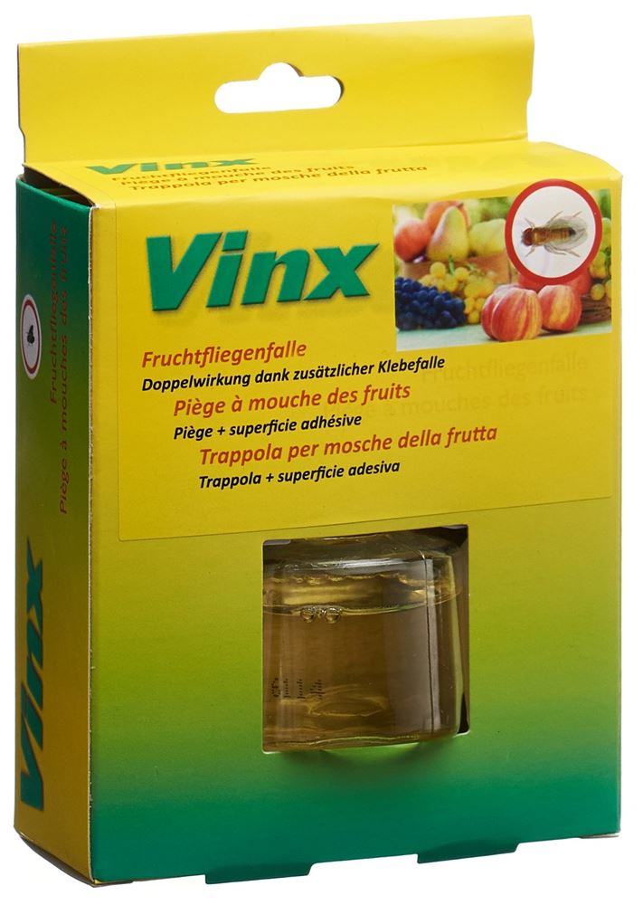 Vinx Fruchtfliegenfalle mit Klebestreifen