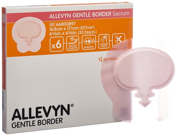 allevyn-16-8x17-1cm-6-pce-commander-en-ligne