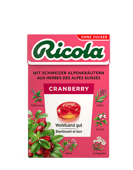 Gerio Violetas - Bonbons Violette Sans Sucre à La Stévia 1kg