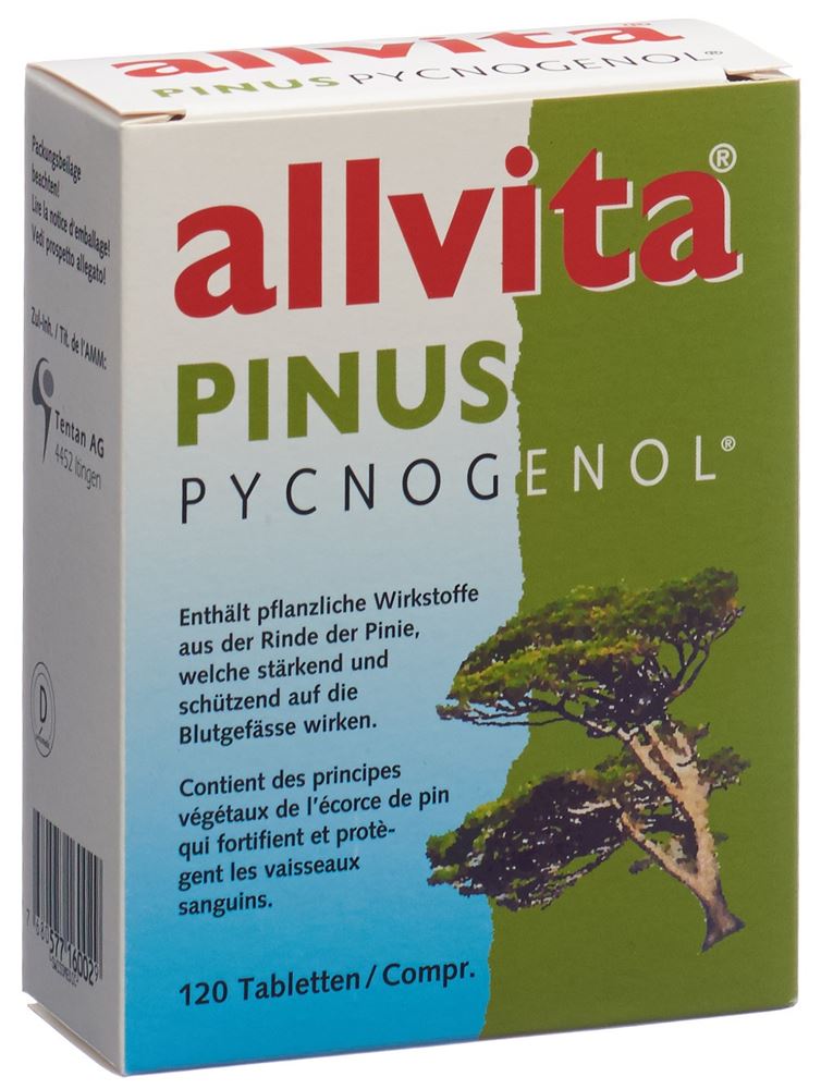 Pinus Pycnogenol