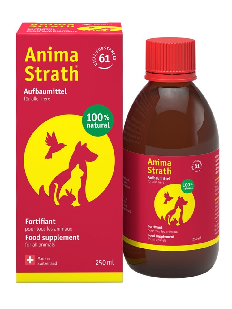 STRATH liq fl 250 ml, image 3 sur 4