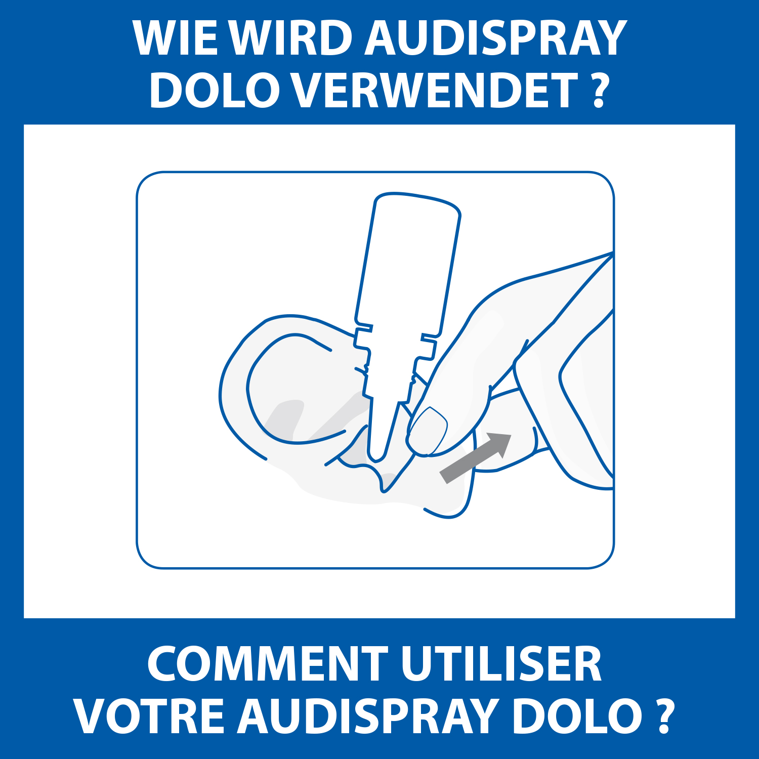 AUDISPRAY Dolo, Bild 3 von 5