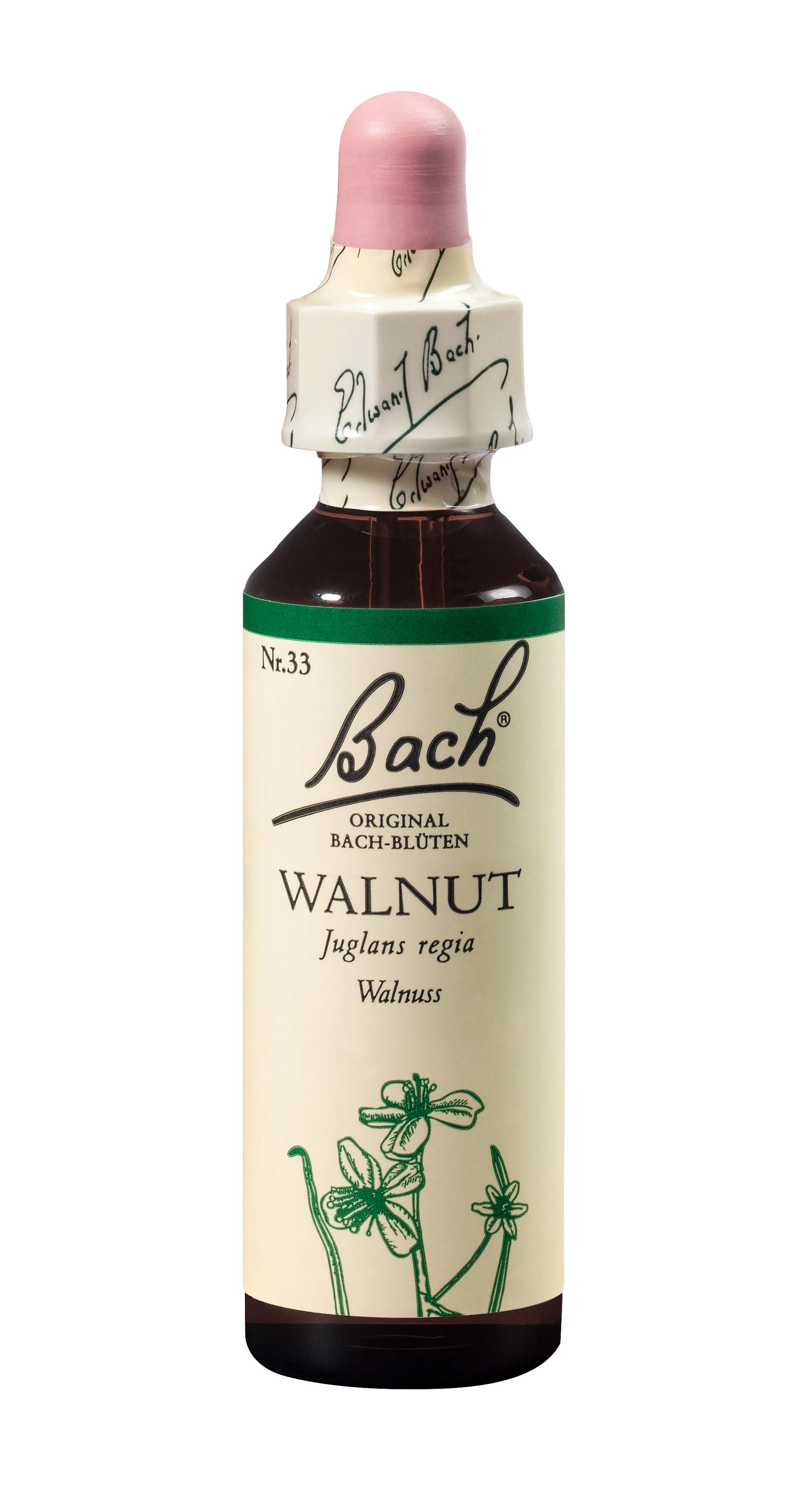 Original Bach-Blüten Bachblüten Original