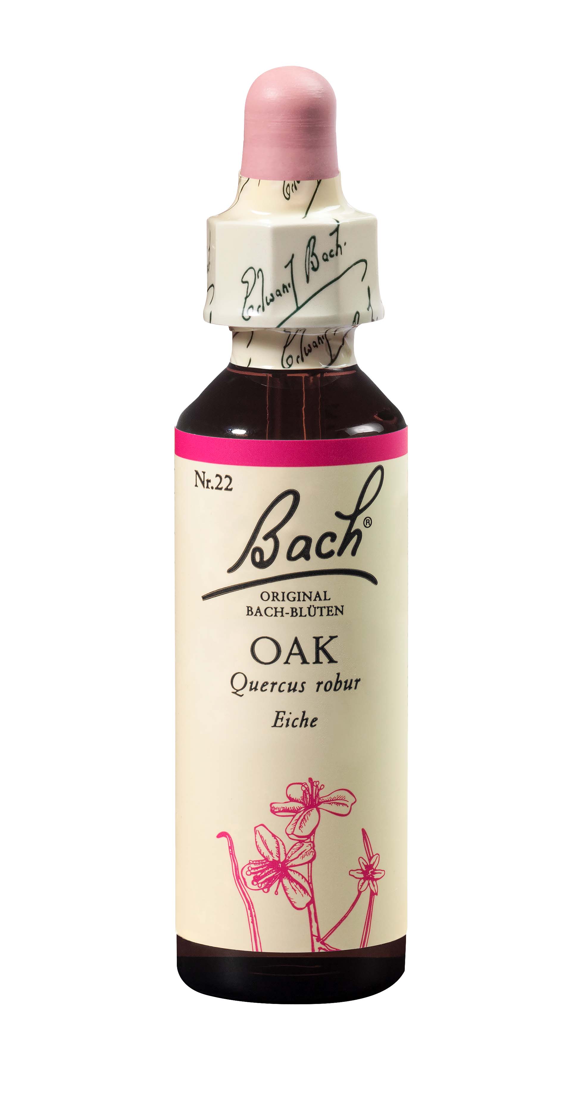 Fleurs de Bach Original Oak, Hauptbild