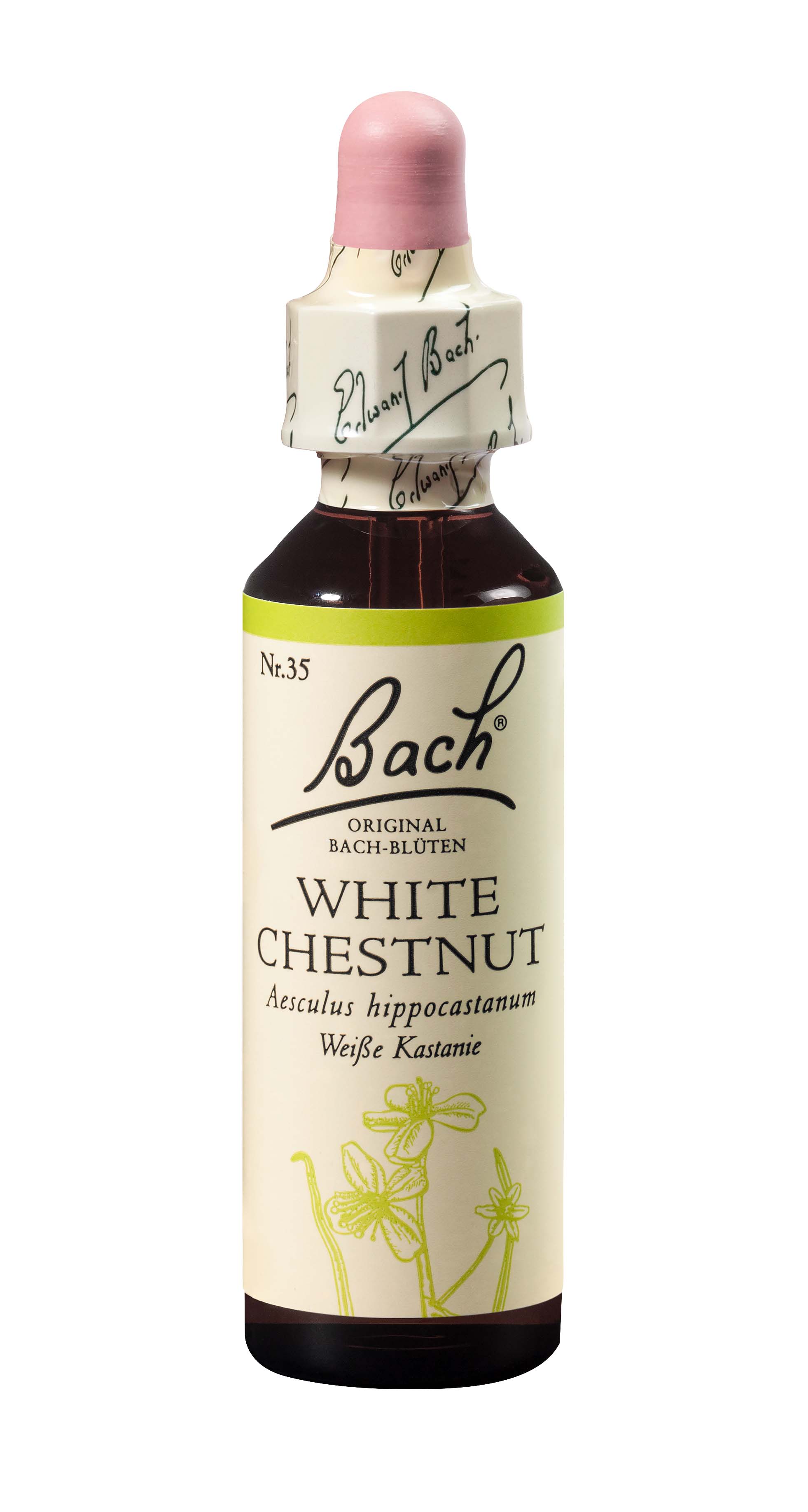 Original White Chestnut