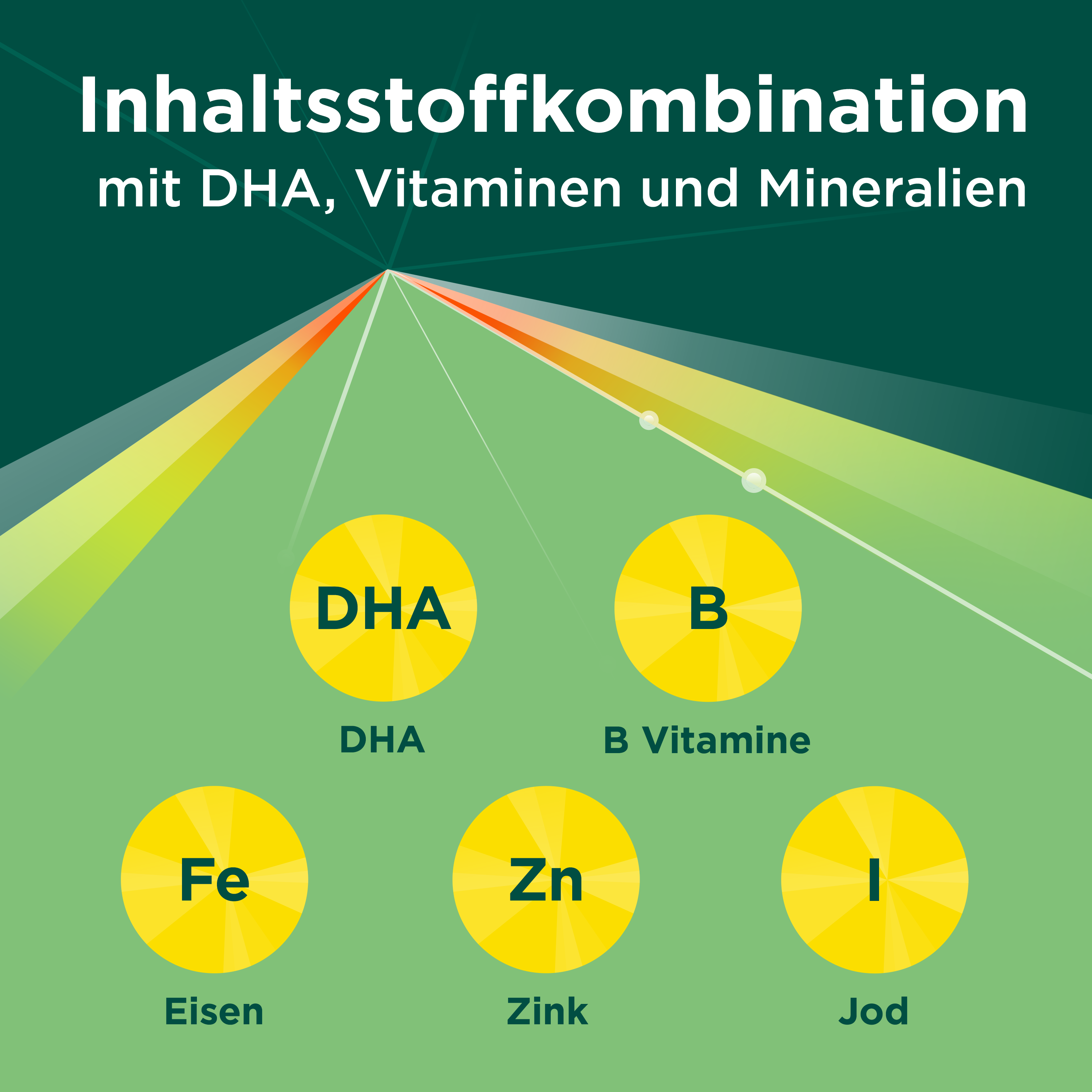 BEROCCA Pro Brain, image 5 sur 6