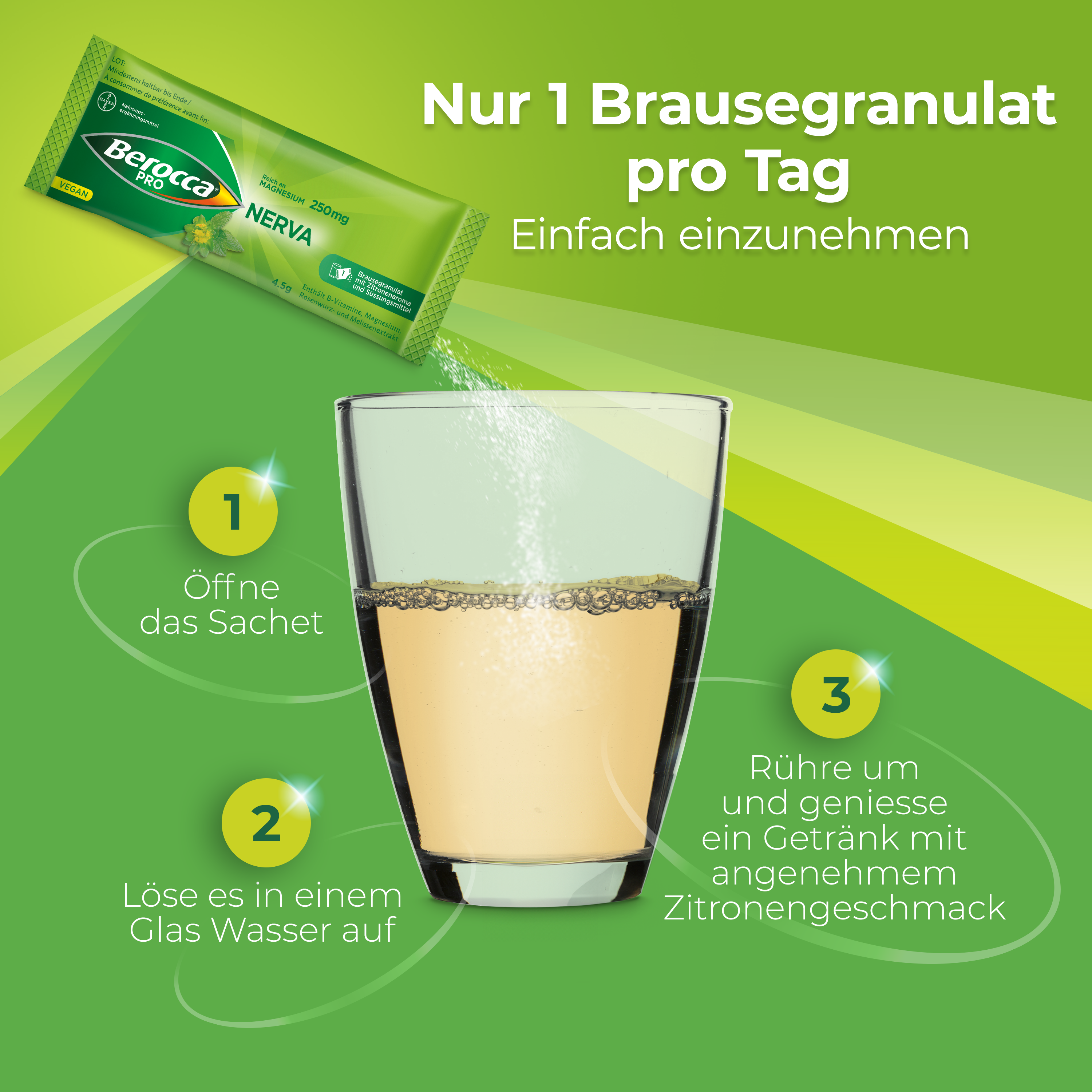 BEROCCA NERVA, Bild 3 von 6