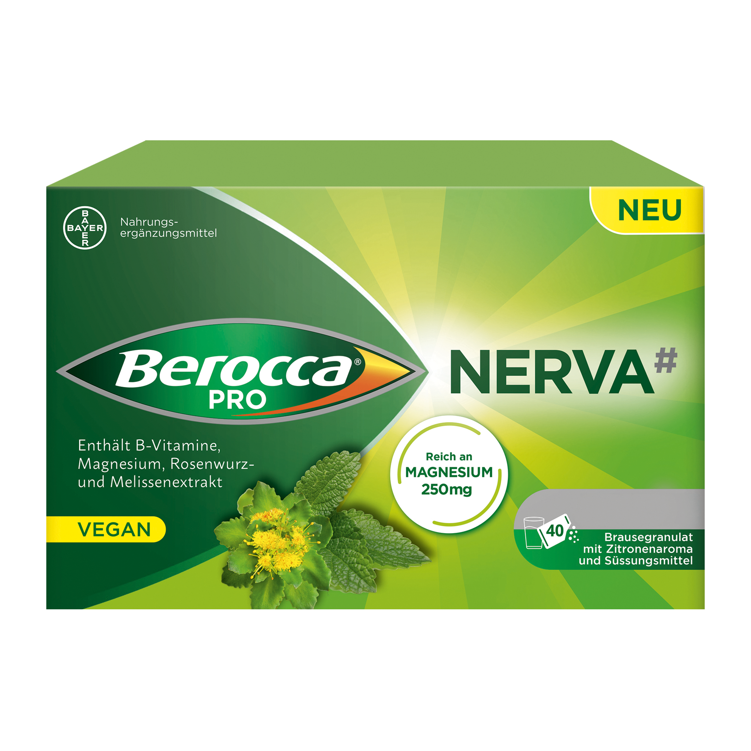 BEROCCA NERVA, Hauptbild