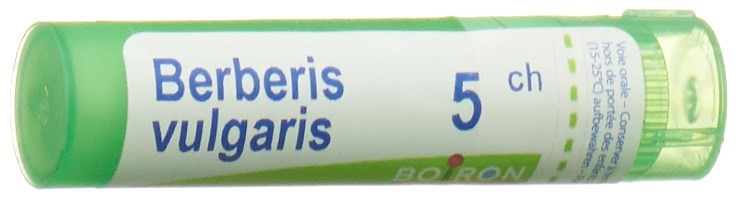 Boiron Berberis vulgaris 5 CH, Hauptbild