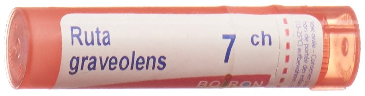 Boiron Ruta graveolens 7 CH, Hauptbild