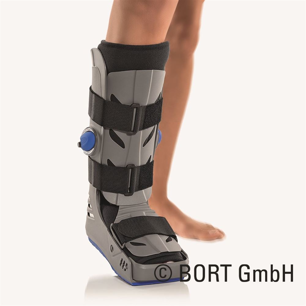 BORT lang, Hauptbild