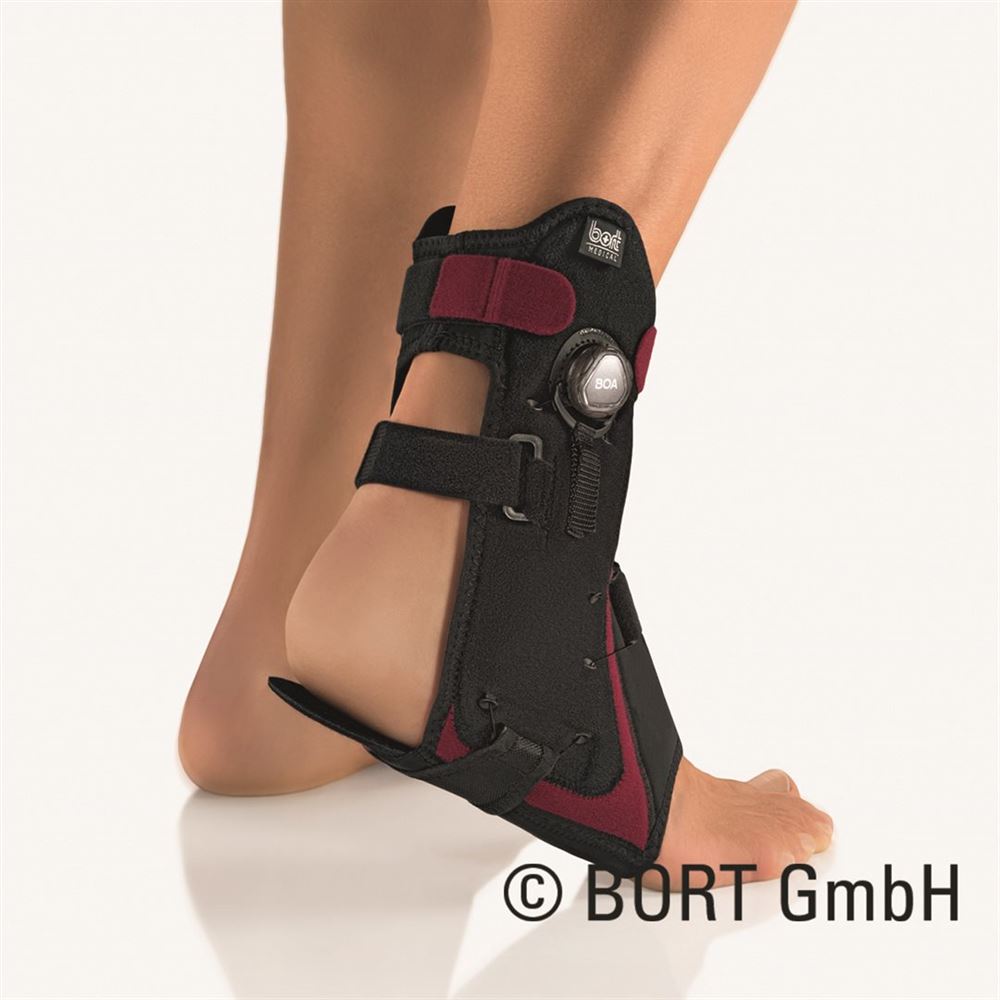 BORT MalleoXpress, image principale