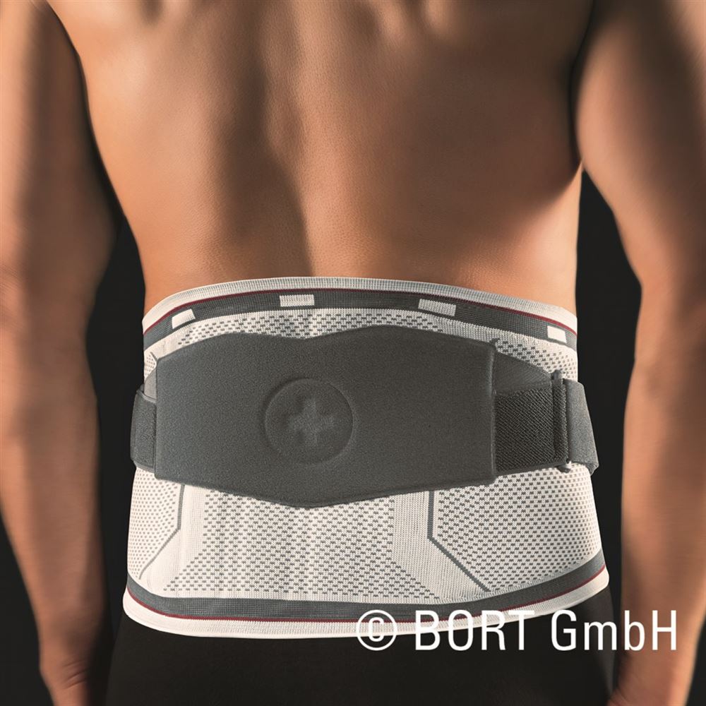 , immagine principale , immagine principale