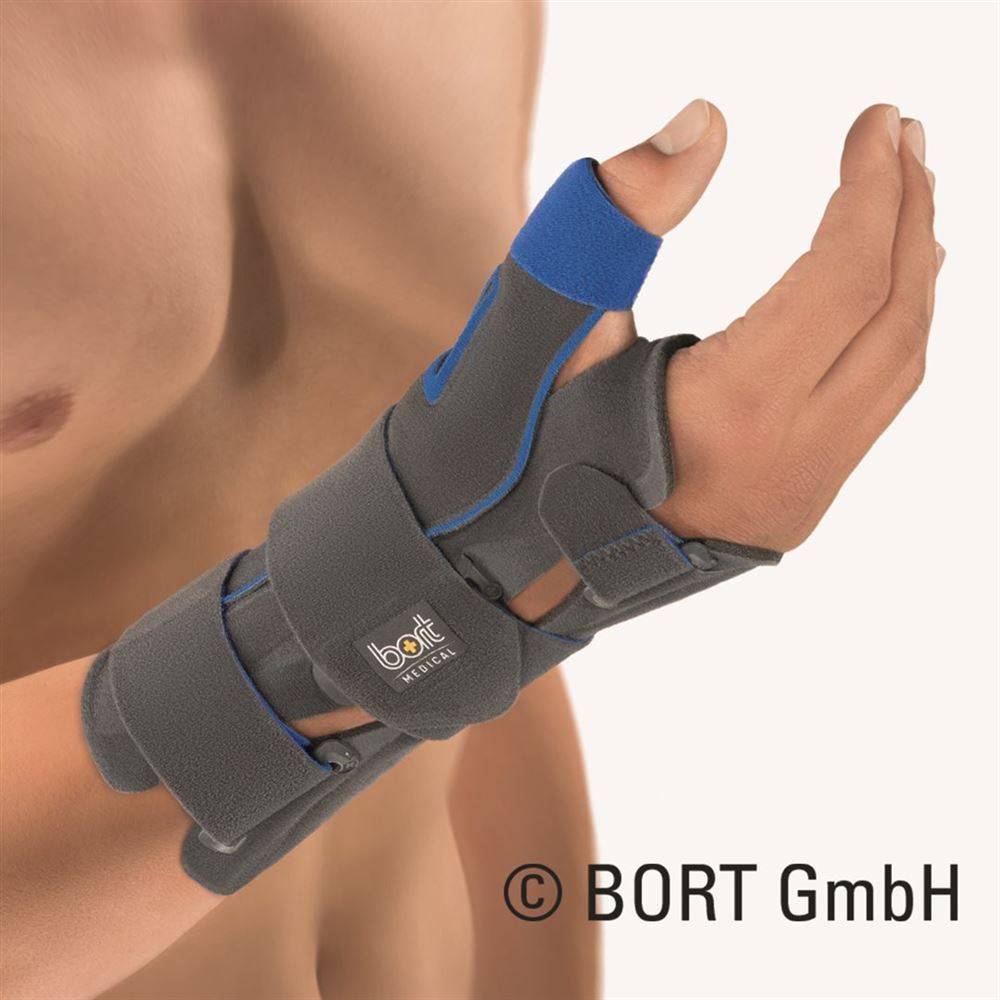 BORT SellaTex, Hauptbild