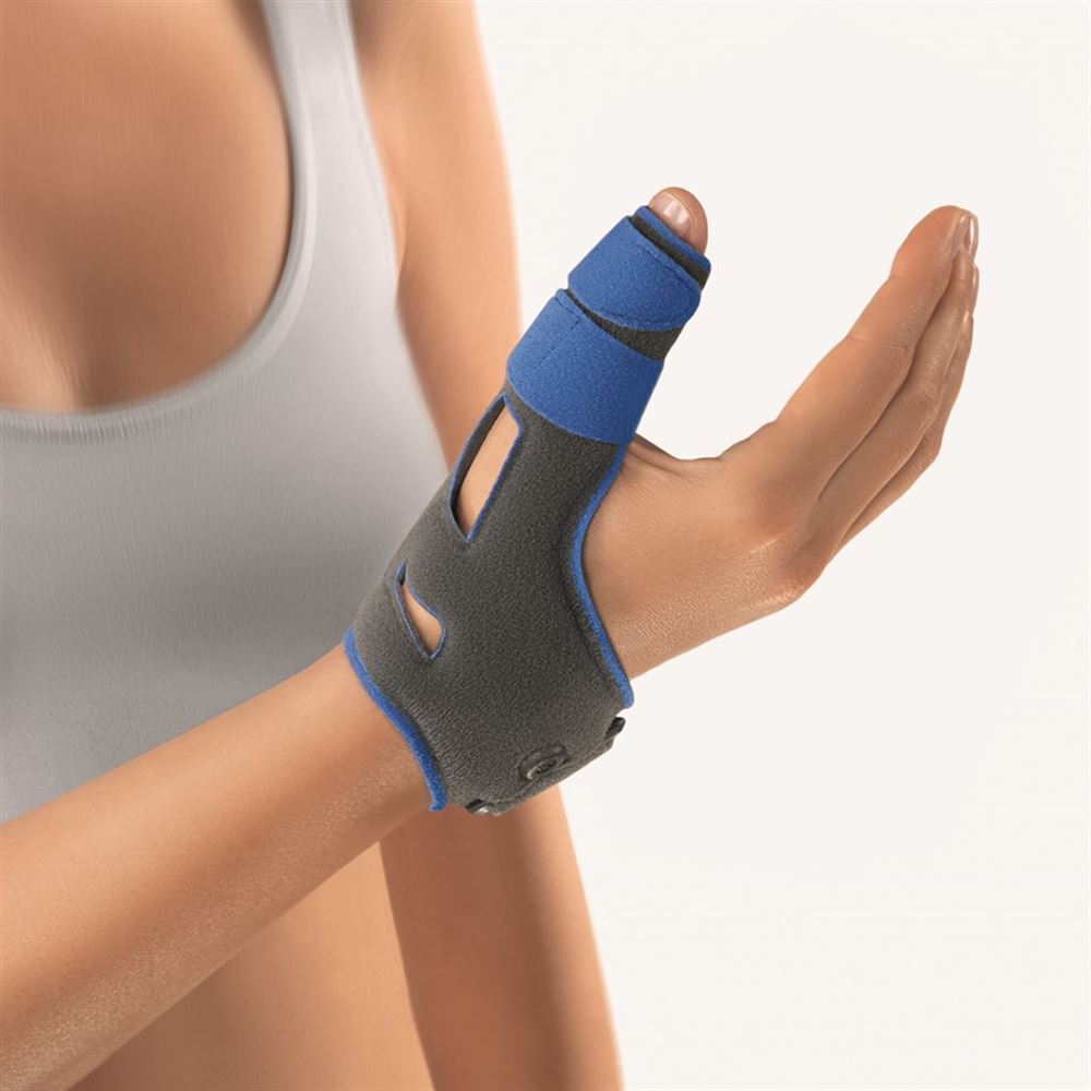 BORT SellaXpress plus, image principale BORT SellaXpress plus, image principale