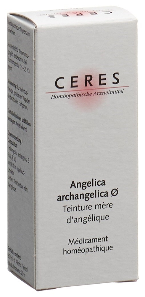 CERES angelica archangelica, image 2 sur 2