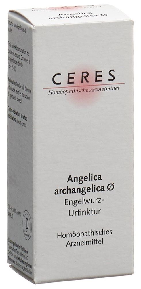 CERES angelica archangelica, image principale
