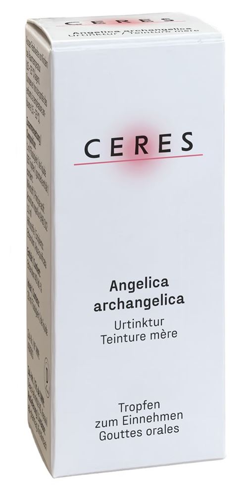 CERES angelica archangelica, image principale