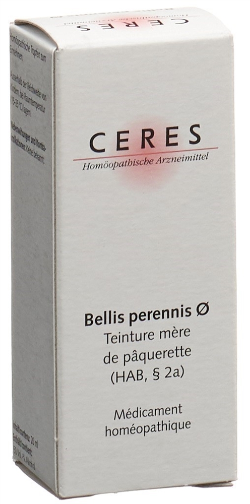 CERES bellis perennis, image 2 sur 2