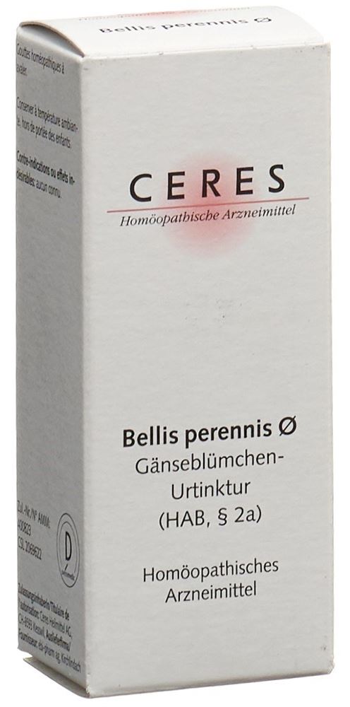 CERES bellis perennis, image principale