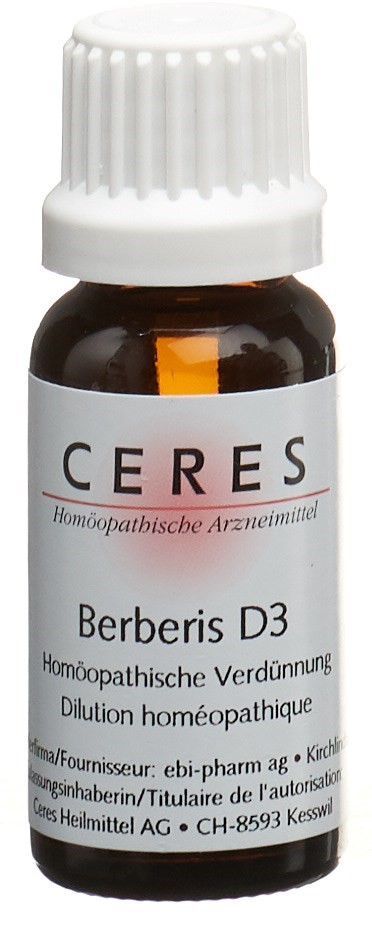 CERES berberis 3 D