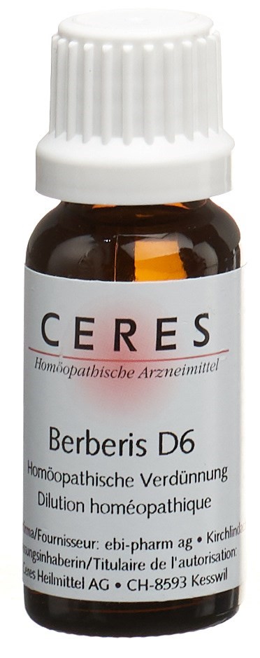 CERES berberis 6 D, image principale