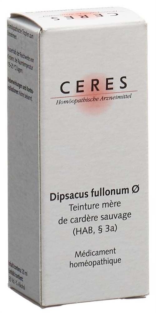 CERES Dipsacus fullonum, Bild 2 von 2